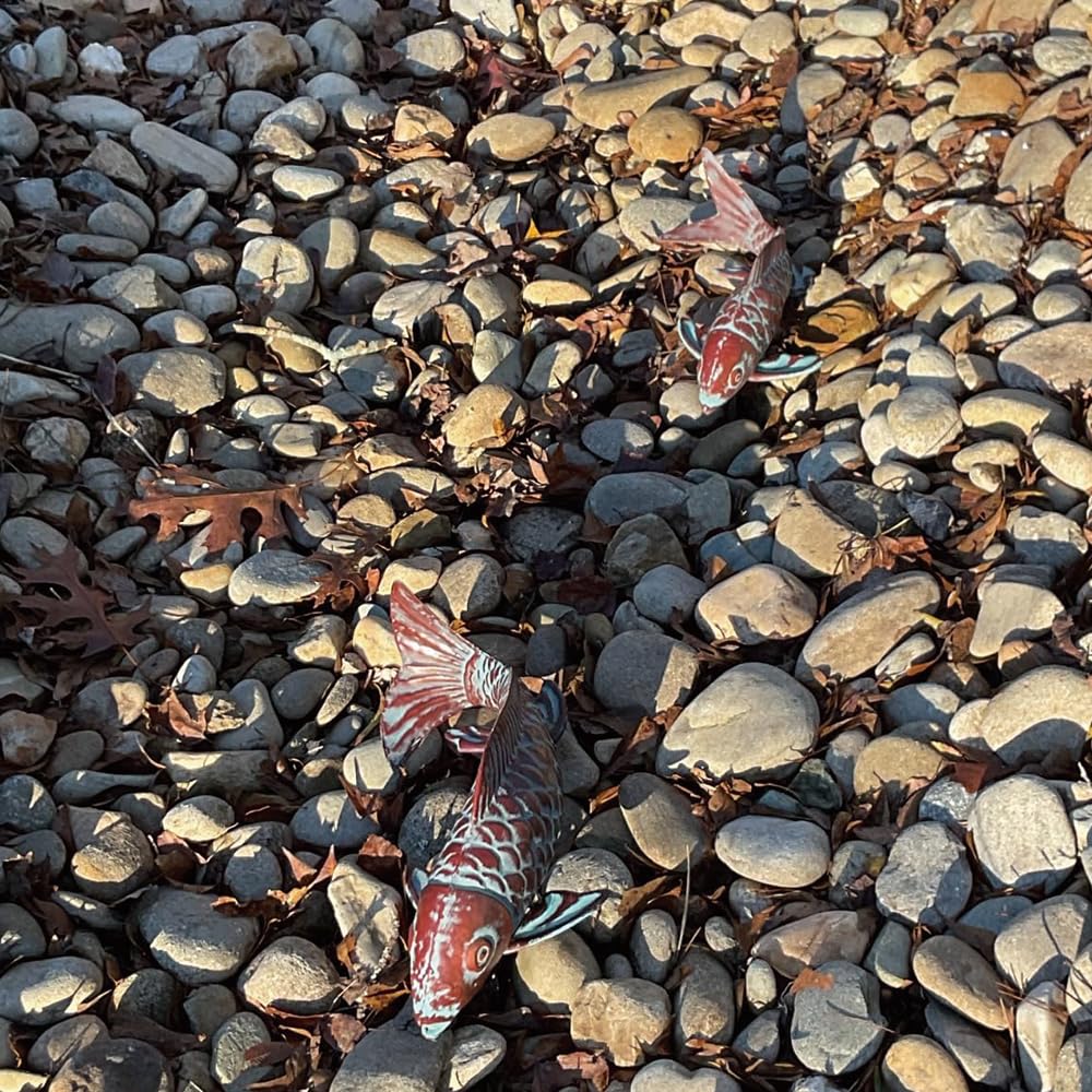 Amazon.co.jp: CLYB ガーデン アンティーク 銅 魚像 : DIY, Tools & Garden